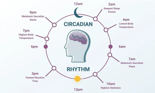 Using red light therapy to biohack your circadian rhythm!